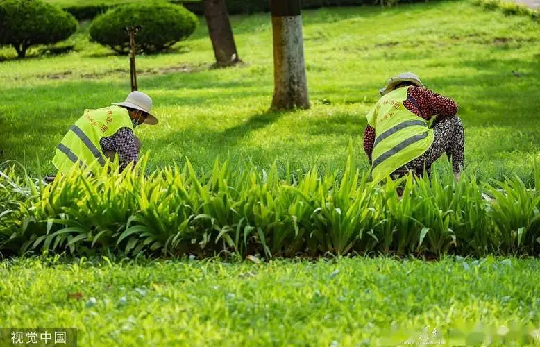 四川绿化工程绿地面积计算
