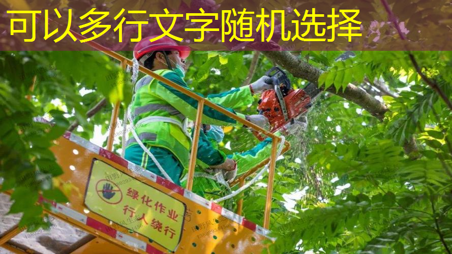 合肥锦正园林绿化有限公司