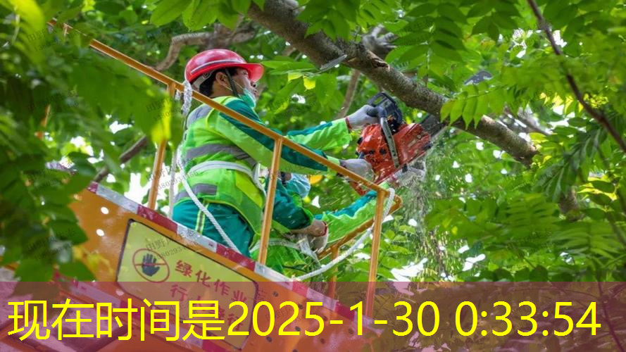苏州绿化工程师培训学校