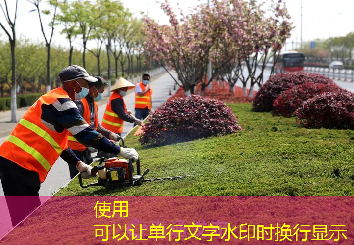 花园餐厅园林景观设计