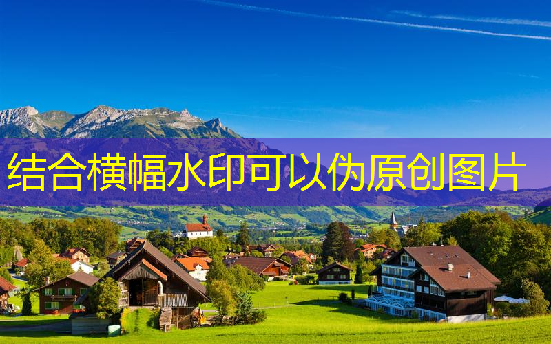 别墅中庭园林景观设计方案