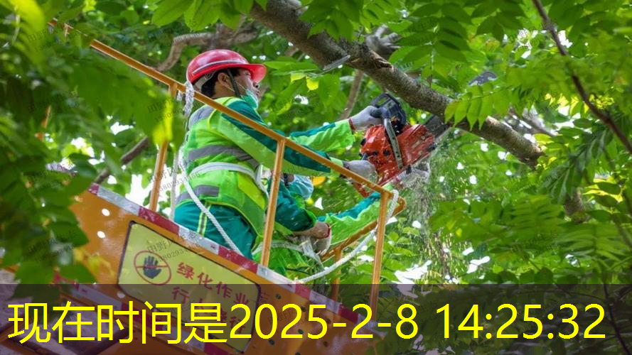 户外园林景观设计圆形地铺