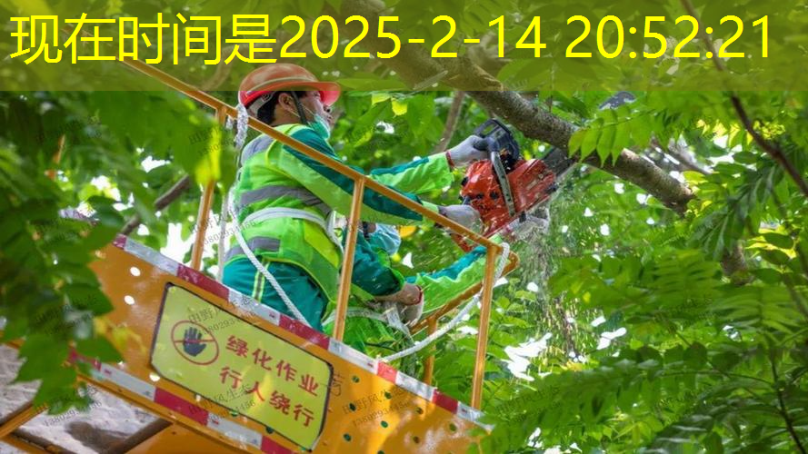 石家庄森懋园林绿化工程