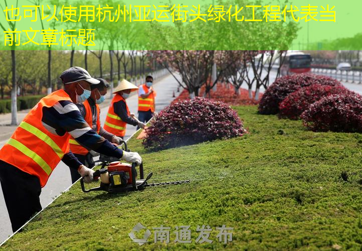 杭州亚运街头绿化工程