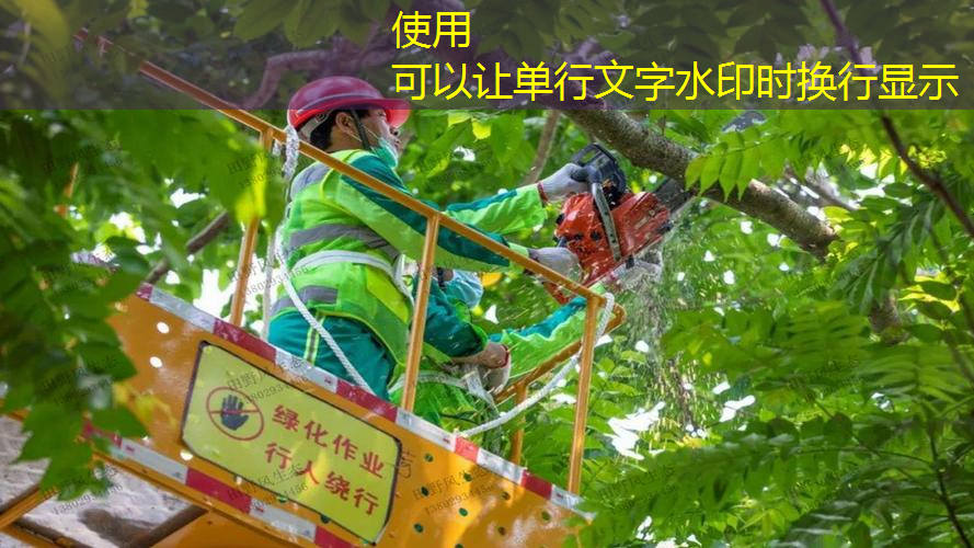 园林管理面临问题，专家建议采取改革措施