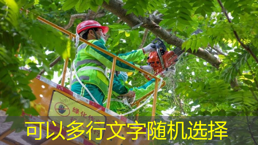 绿化工程检验批方案