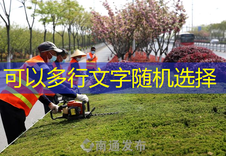 北京京华园林绿化工程直播间