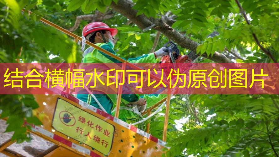 新密市翰林茗郡绿化工程